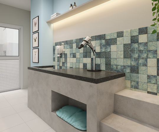 Galeria de Fotos - PETCARE_4K