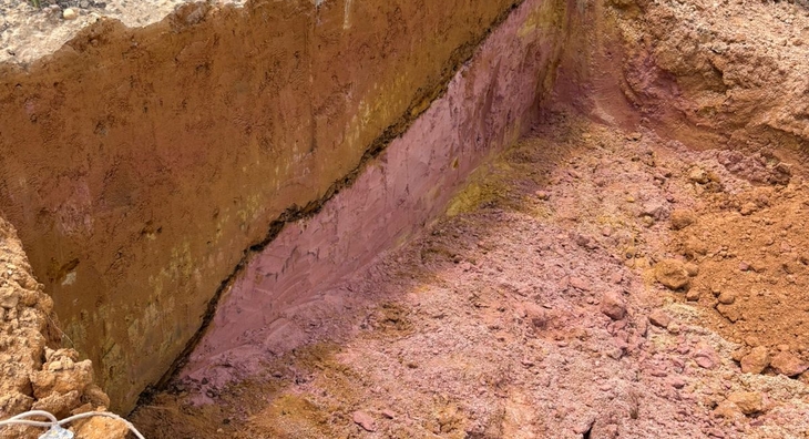 WhatsApp Image 2026-02-19 at 17.09.55 _3_