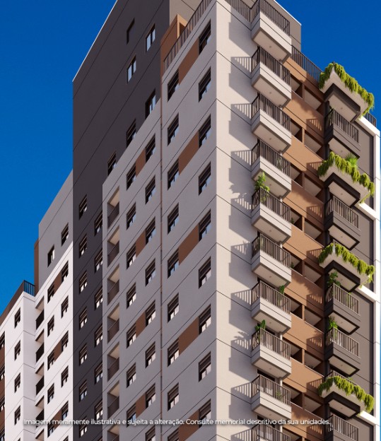 Livre Alto da Boa Vista